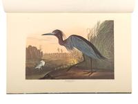 AUDUBON, John James (1785-1851). The Birds of America . New York and Amsterdam: Johnson Reprint Co. & Theatrum Orbis Terrarum [i.e. Nico Israel], 1971-1972.