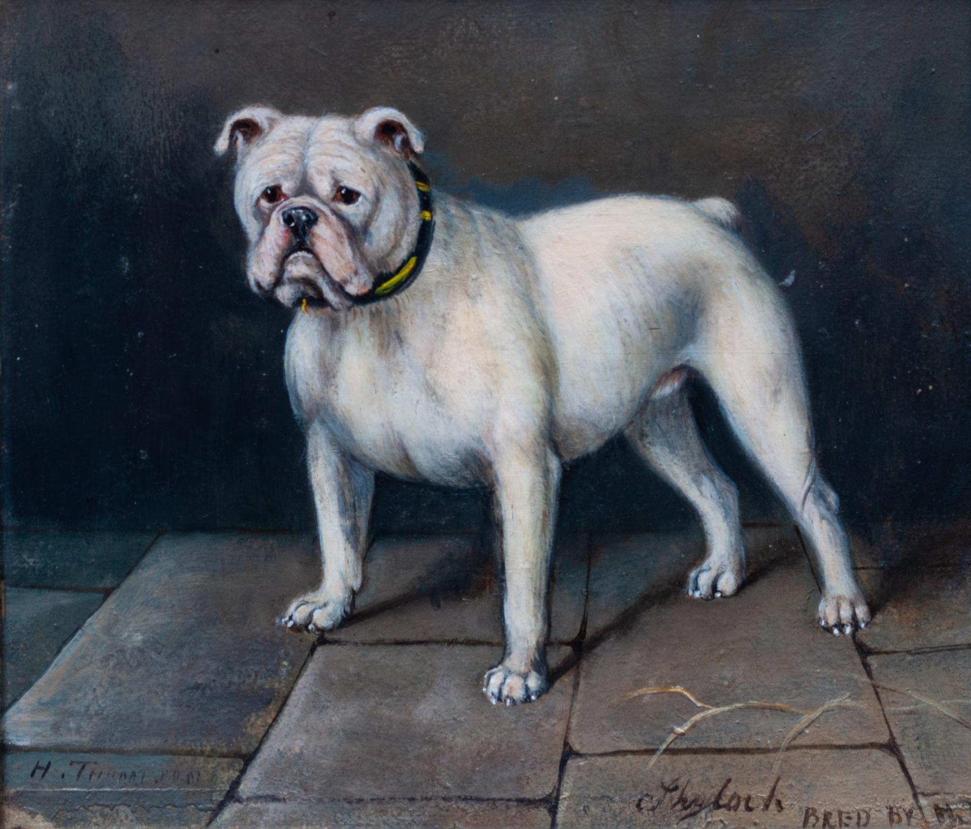 Three Working of Art depicting Bulldogs Largest: 16 3/4 x 19 inches.