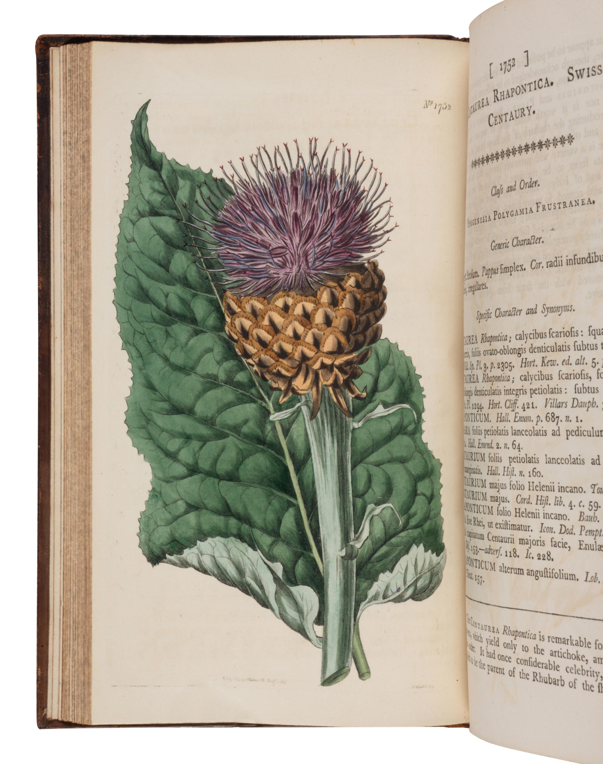 [NATURAL HISTORY]. CURTIS, William (1746-1799) and others. The Botanical Magazine, or, Flower-Garden Displayed... London: Stephen Couchman; W. Curtis, et al, 1797-1816