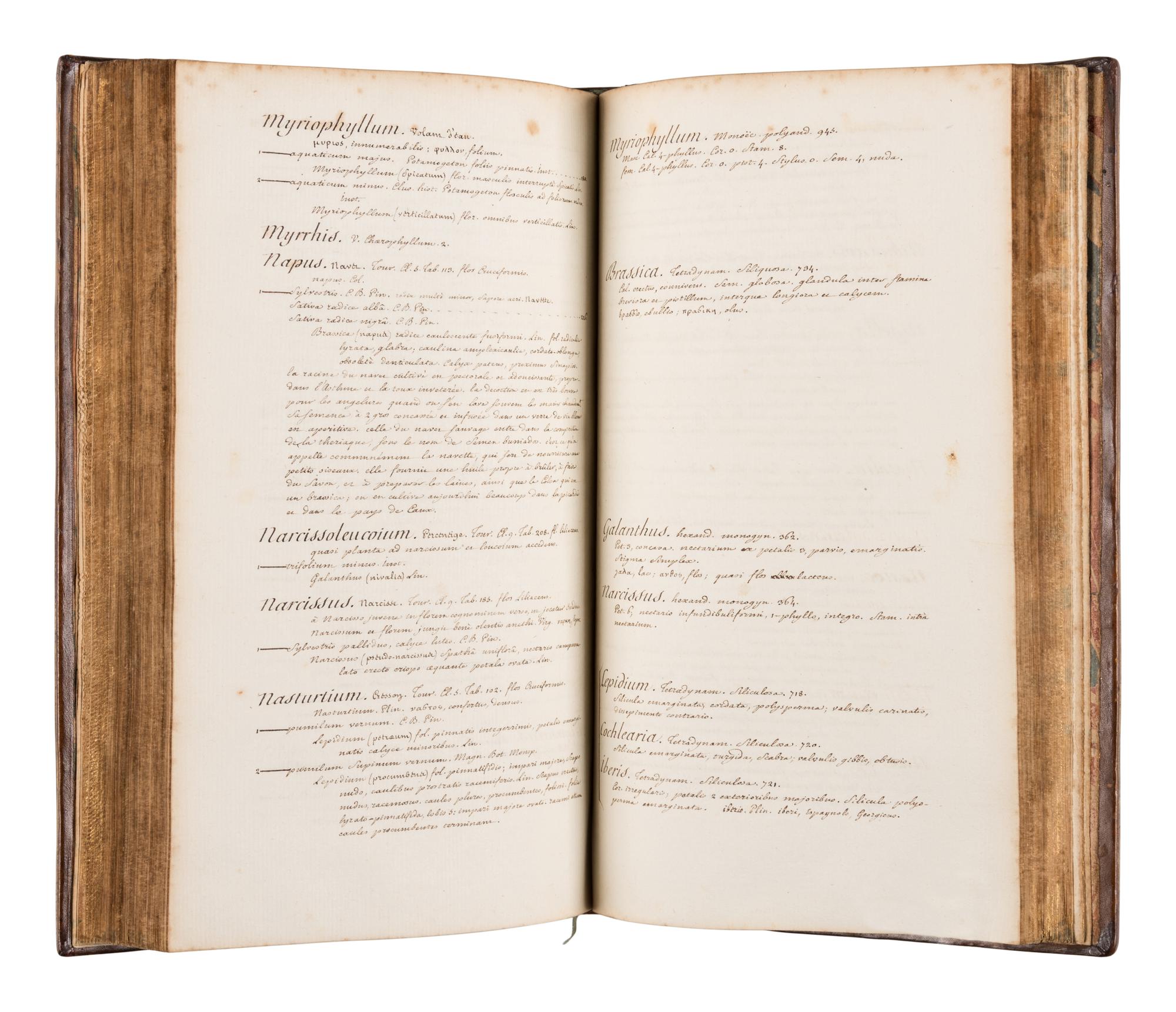 [MANUSCRIPT - BOTANICAL] -- [VAILLANT, Sébastien (1662-1759)]. MÉRAT, Laurent Germain (1712-1790). "Botanicum parisiense, operis majoris prodituri prodromus." [France]: n.p., n.d.