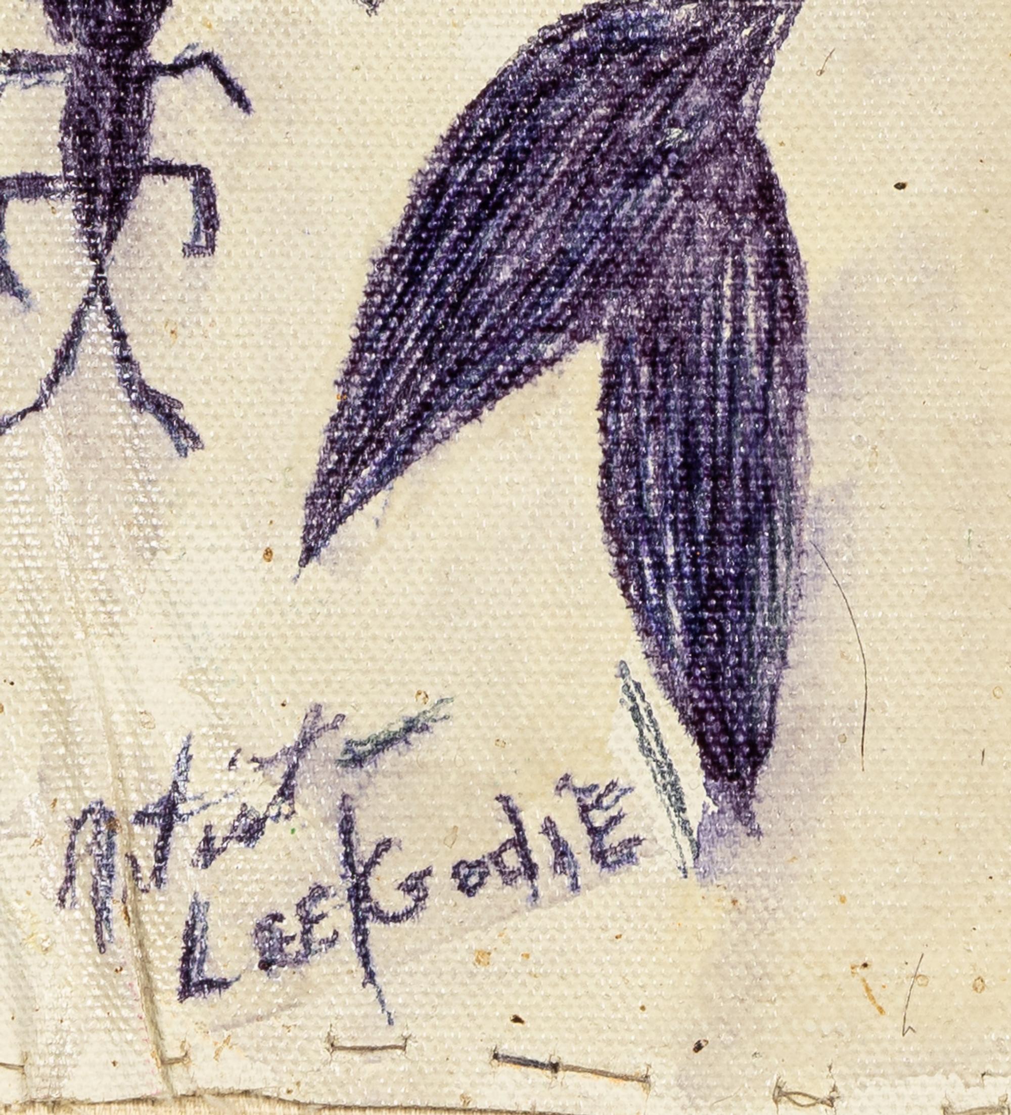 Chicago (Birds)