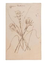 [BOTANY & GARDENING -- MANUSCRIPTS]. A group of 5 manuscripts, comprising: