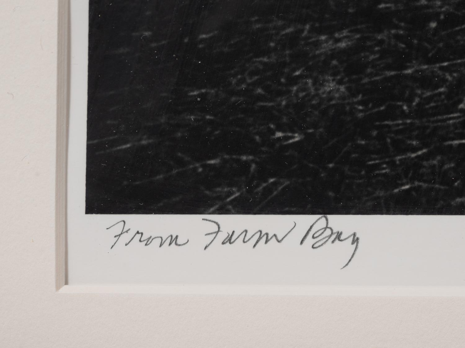 A group of five photographs from the Farm Families Project
