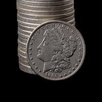 A Group of Twenty Morgan $1 Coins