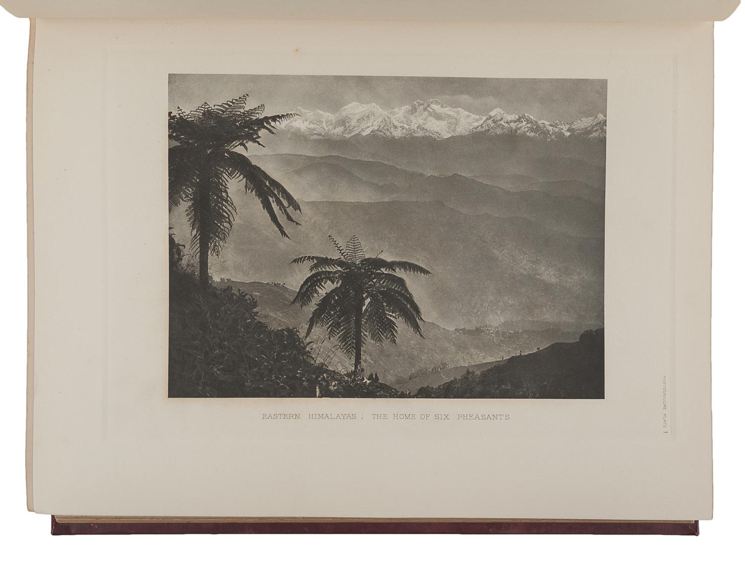 BEEBE, Charles William (1877-1962). A Monograph of the Pheasants . London: Witherby & Co., 1918-1922.