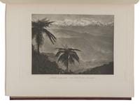 BEEBE, Charles William (1877-1962). A Monograph of the Pheasants . London: Witherby & Co., 1918-1922.