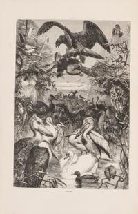 [Natural History] Wood, John George. The Illustrated Natural History