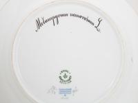 A Set of Thirteen Royal Copenhagen Flora Danica Salad Plates