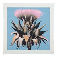 Untitled (Flower)