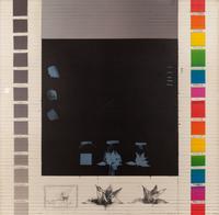 A pair of prints ( Wish #2 Breadfruit; Wish #3 Transformation)