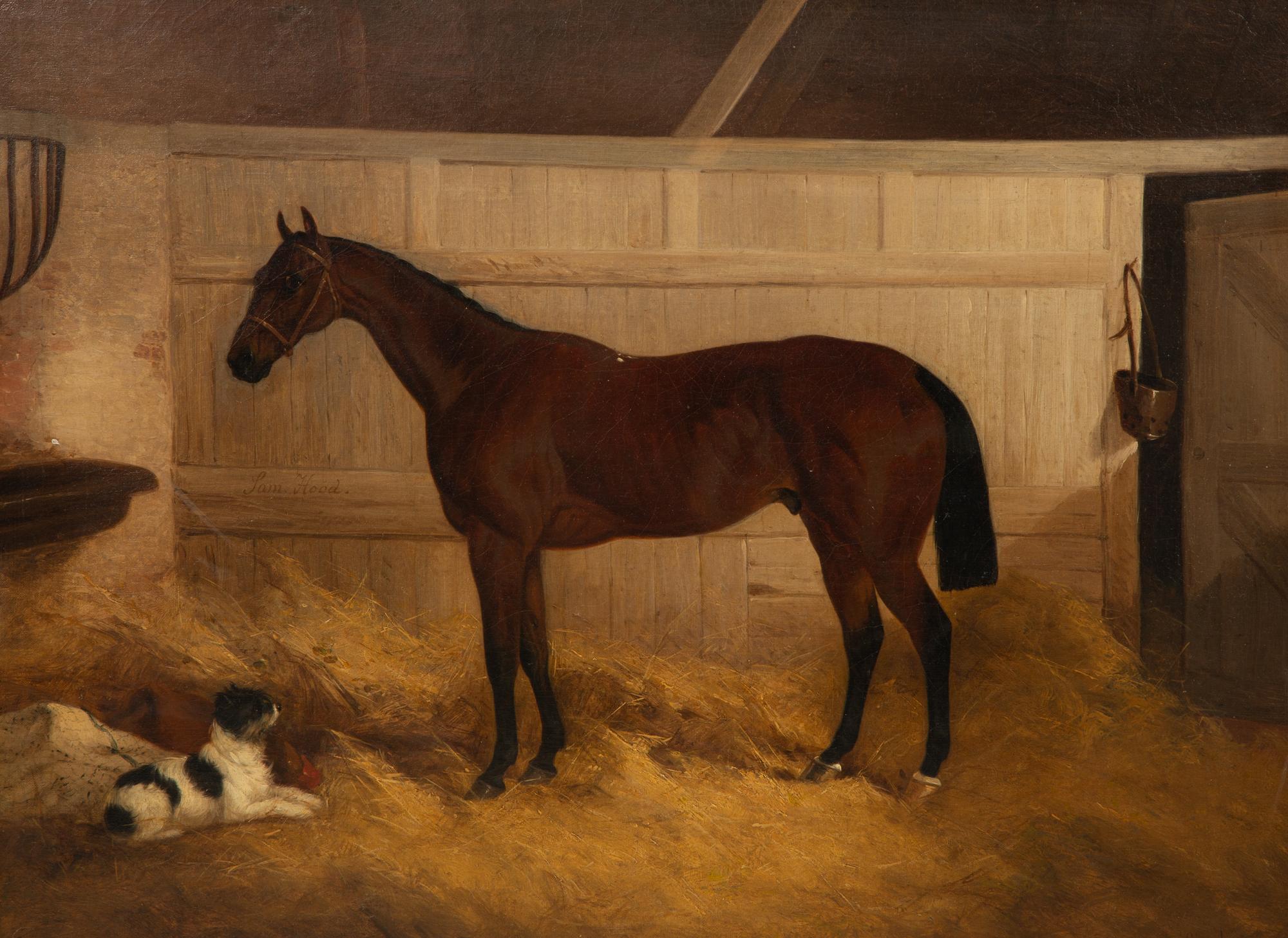 Racehorse Sam Hood , 1865