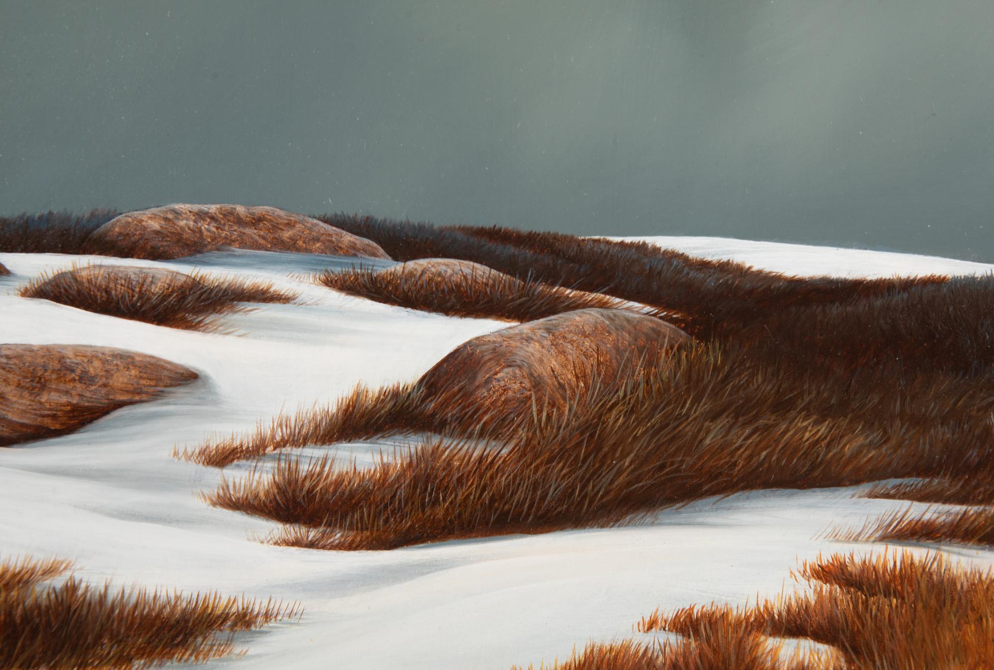 Winter on the Mesa
