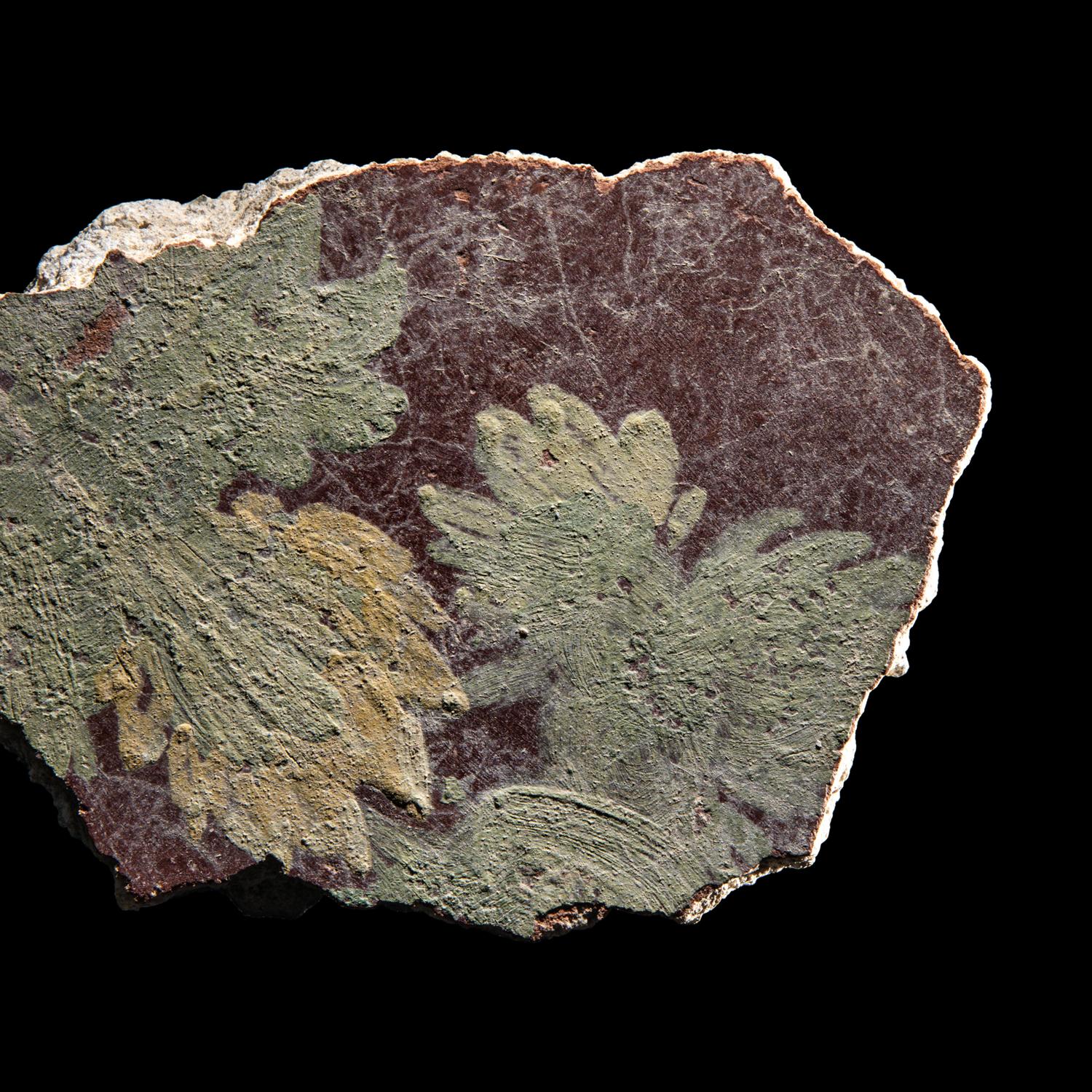 A Roman Fresco Fragment