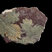 A Roman Fresco Fragment