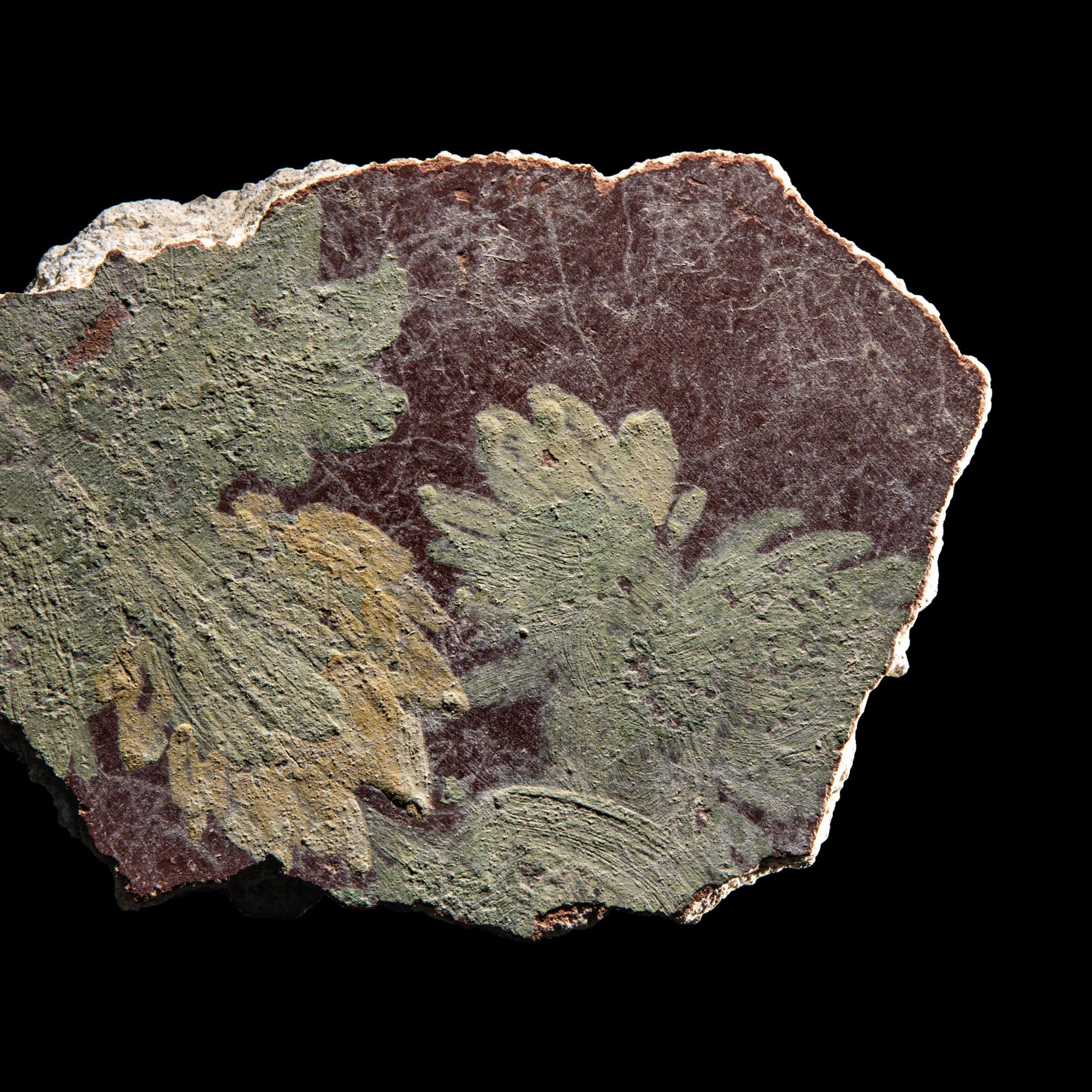A Roman Fresco Fragment