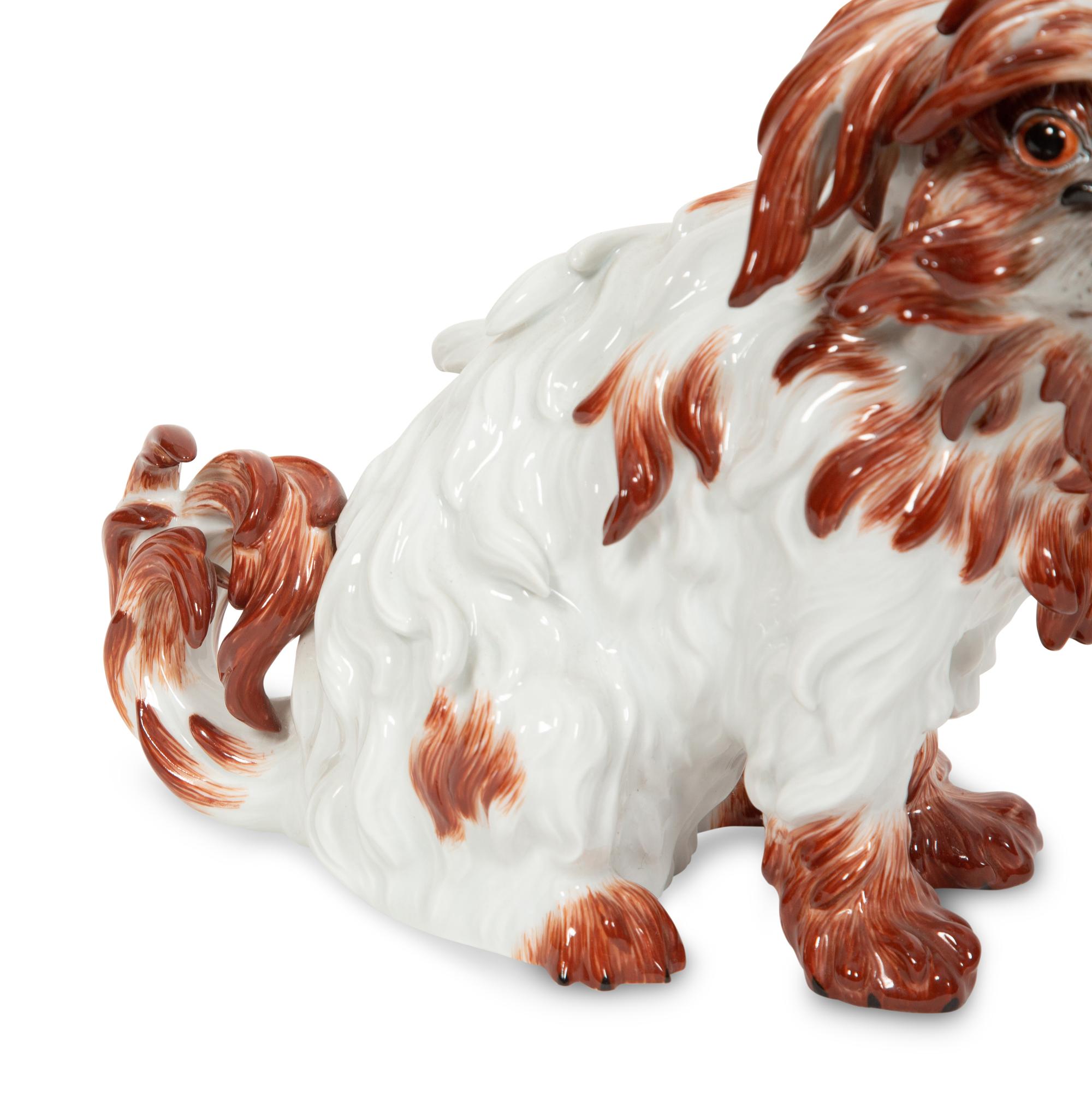 A Meissen Porcelain Bolognese Dog