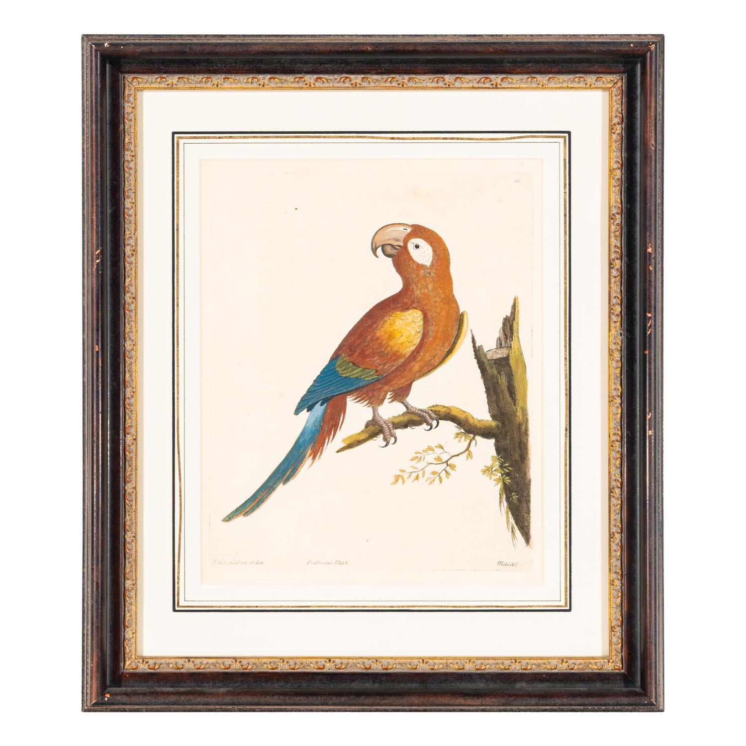 A Group of Nine Hand-Colored Engravings of Birds