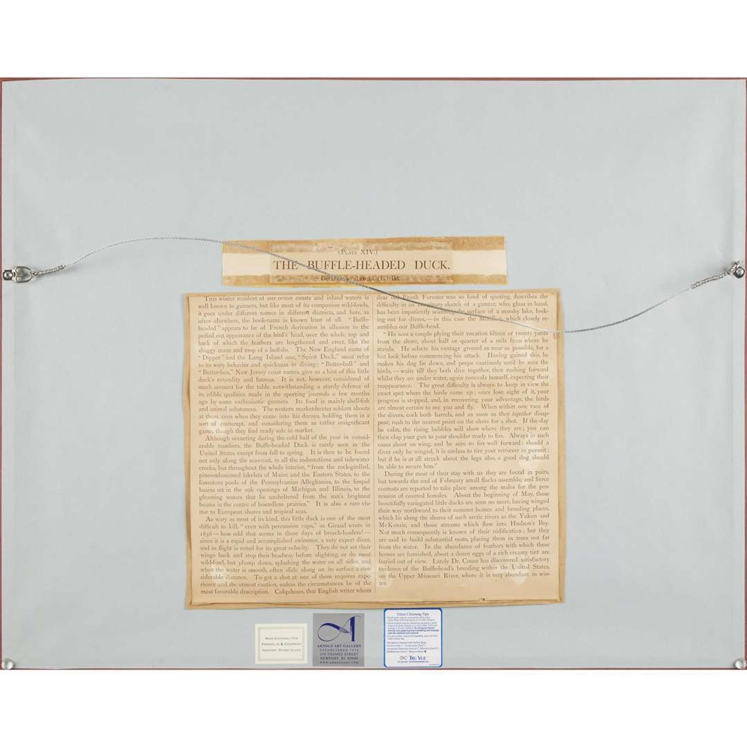 ALEXANDER POPE JUNIOR (AMERICAN 1849-1924) "BLACK DUCK" FROM UPLAND GAME BIRDS AND WATERFOWL OF THE UNITED STATES