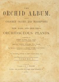 [Natural History] Warner, Robert, and Bejamin Samuel Williams, and Thomas Moore. The Orchid Album, Comprising Coloured Figures and Descriptions of New, Rare, and Beautiful Orchidaceous Plants