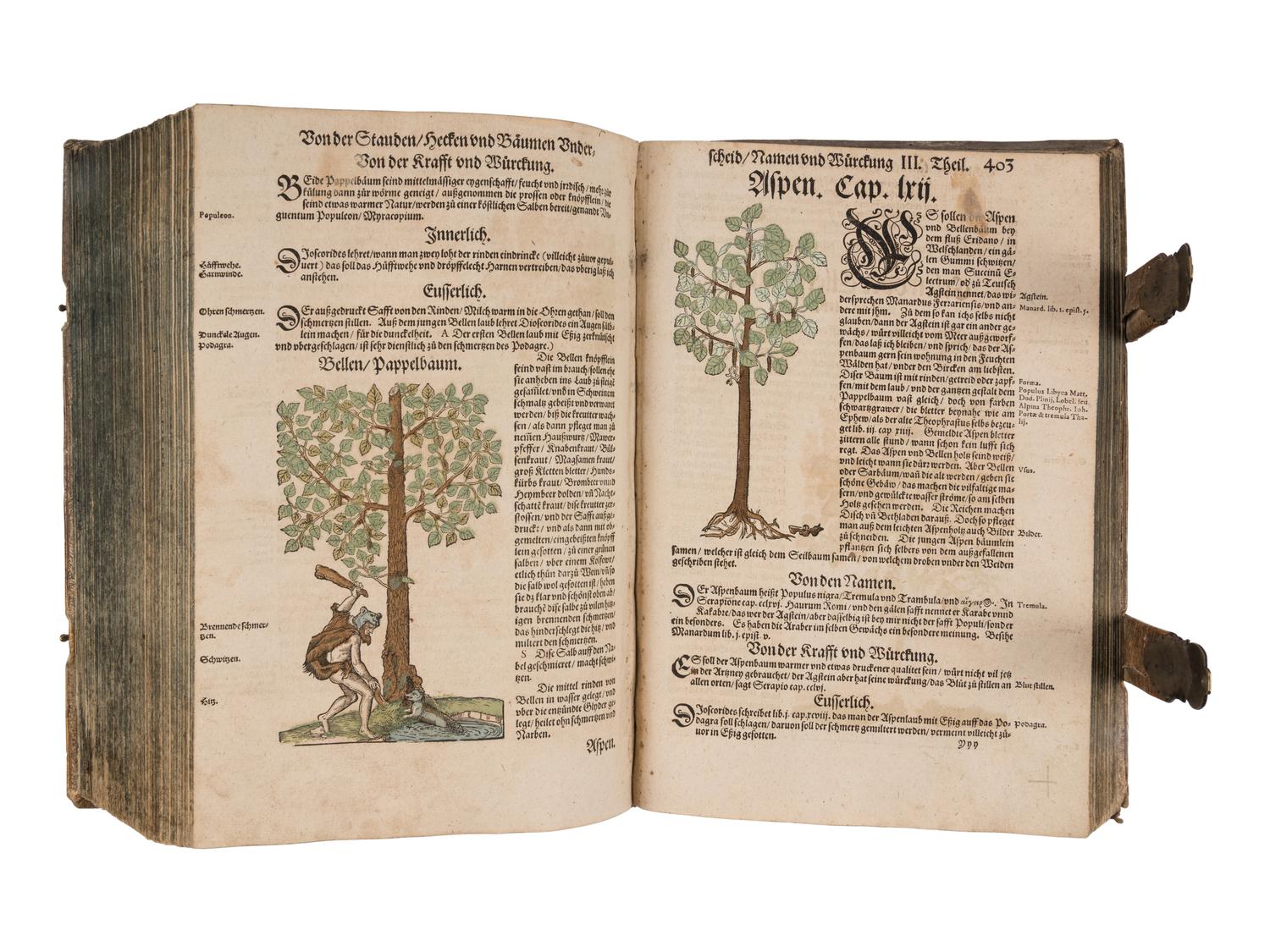 BOCK, Hieronymus (1489?-1554). Kreutterbuch. Strassburg: Josias Rihel, 28 August 1595.