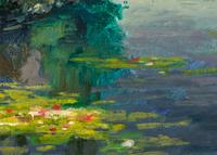 Lilies on the Water