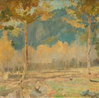 The Story of the Beauty of Aspen