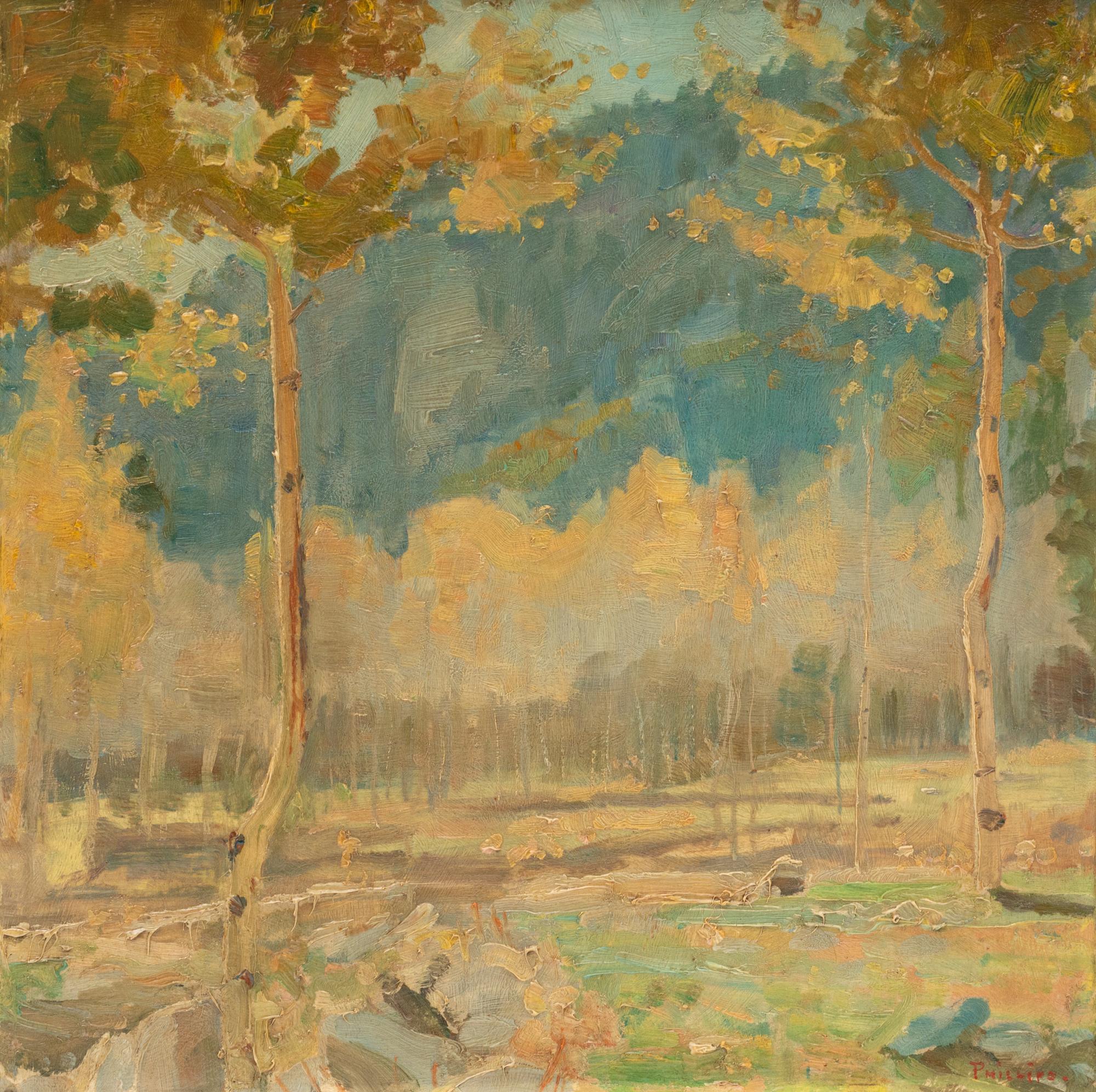 The Story of the Beauty of Aspen