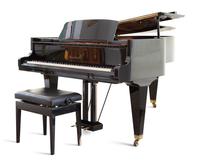 A Bösendorfer Model 200 Grand Piano