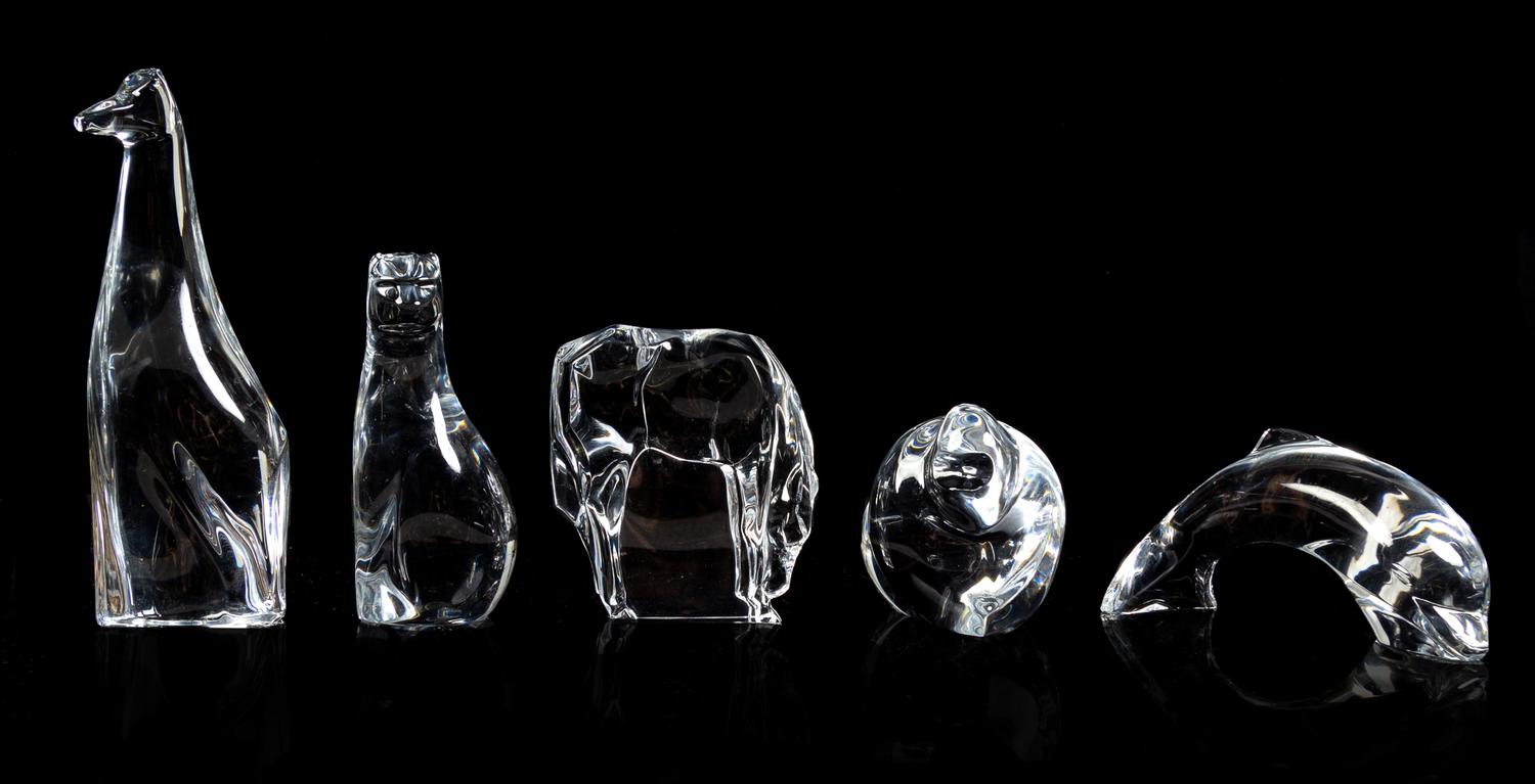 Hoya Crystal