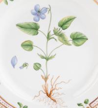 A Set of Eight Royal Copenhagen Flora Danica Porcelain Dinner Plates