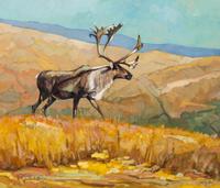 Woodland Caribou