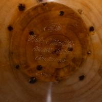 Ashleaf maple globe