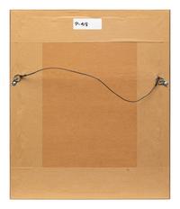 Group of Nine Works, American Bird Series, 1988