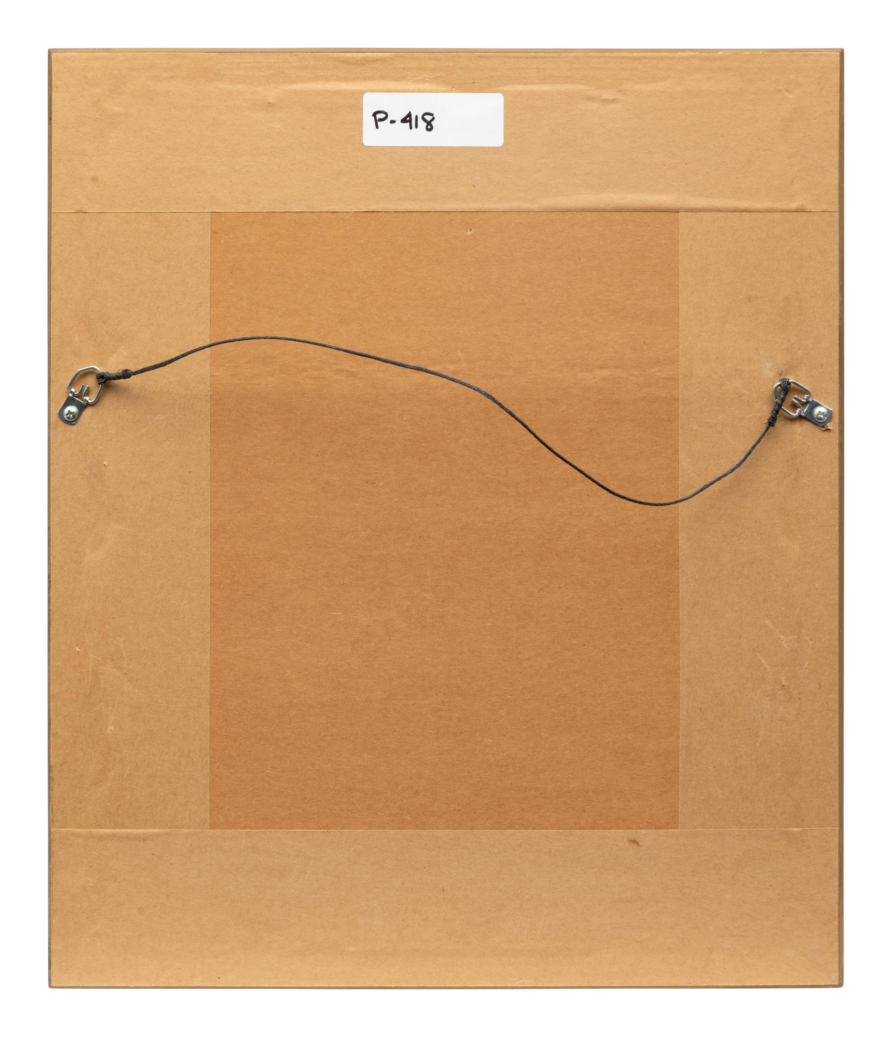 Group of Nine Works, American Bird Series, 1988