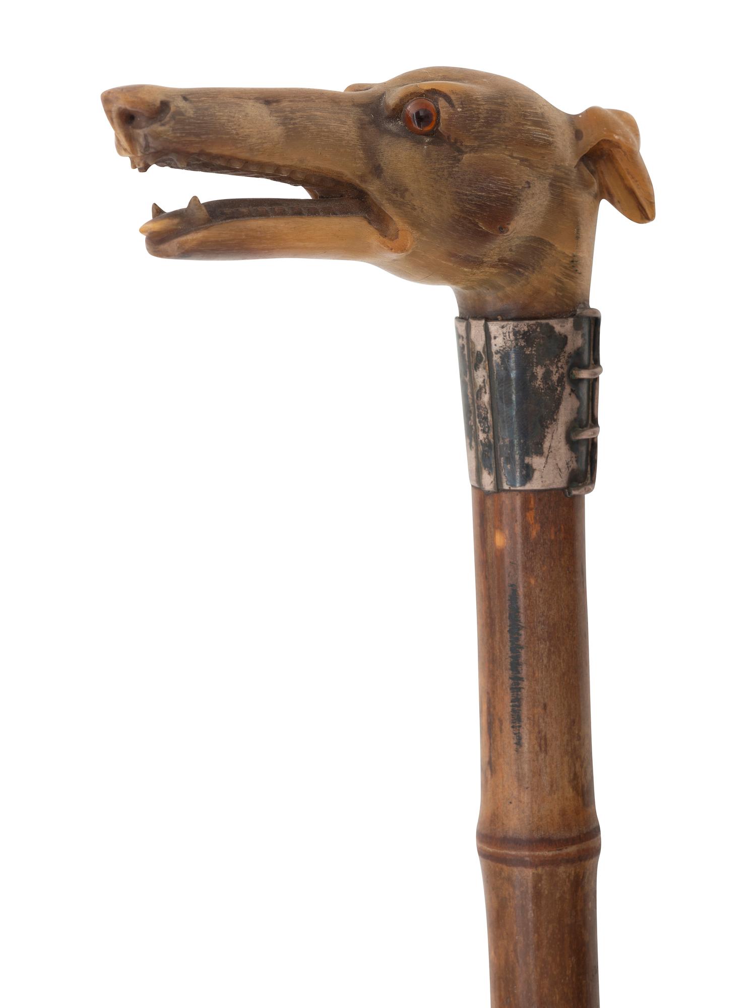 Four Walking Sticks and Umbrellas