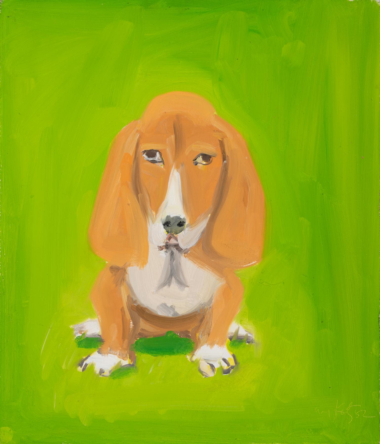 Dog