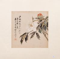 Zhu Cheng