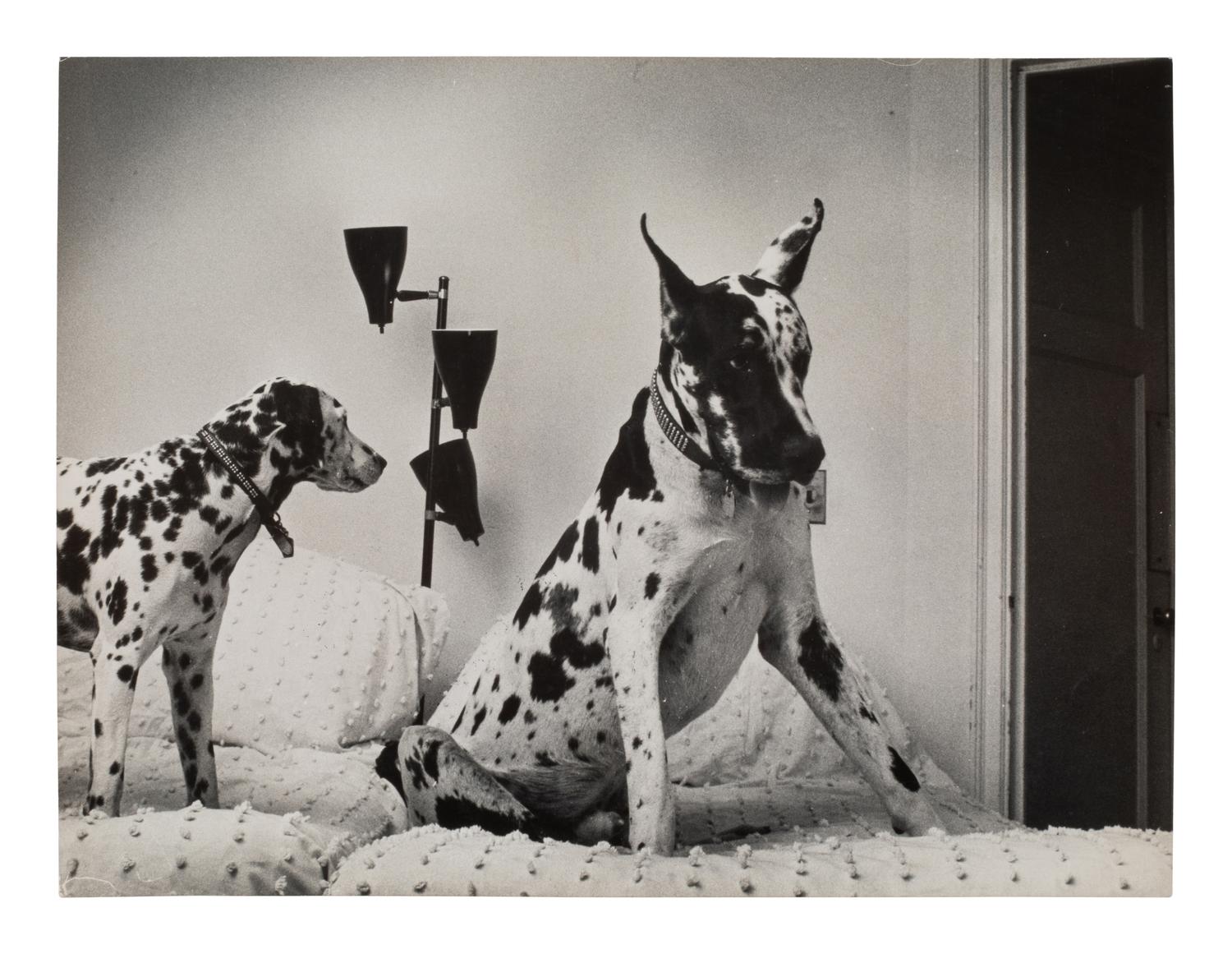 A Group of Four Works depicting dogs, 1958-65; printed ca. 1958-65