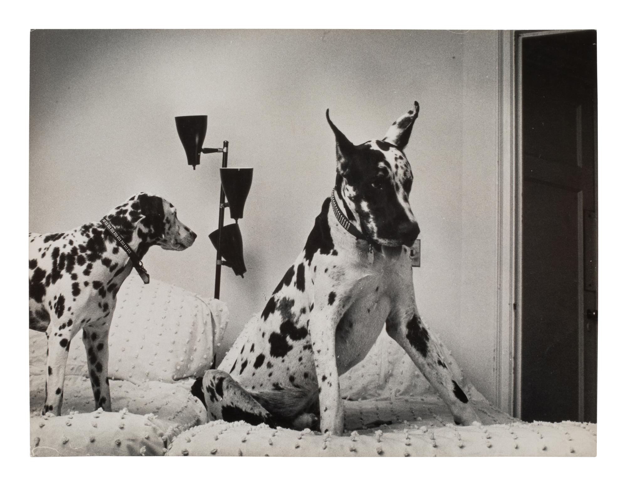 A Group of Four Works depicting dogs, 1958-65; printed ca. 1958-65