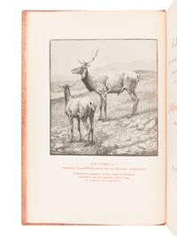 [GRABHORN PRESS]. A Descriptive & Priced Catalogue of Books, Pamphlets...Formerly in the Collection of Thomas Wayne Norris . Oakland, CA: The Grabhorn Press for the Holmes Book Company, 1948.