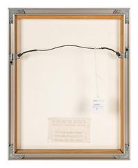 Glider , 1978