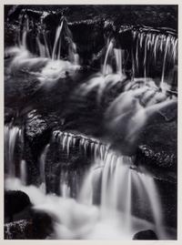 Fern Spring, Dusk Yosemite Valley, California, ca. 1961; printed later