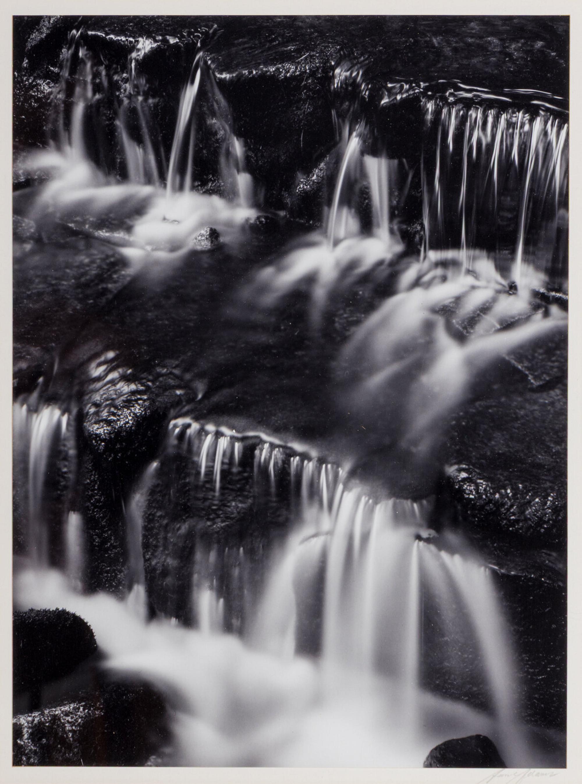 Fern Spring, Dusk Yosemite Valley, California, ca. 1961; printed later