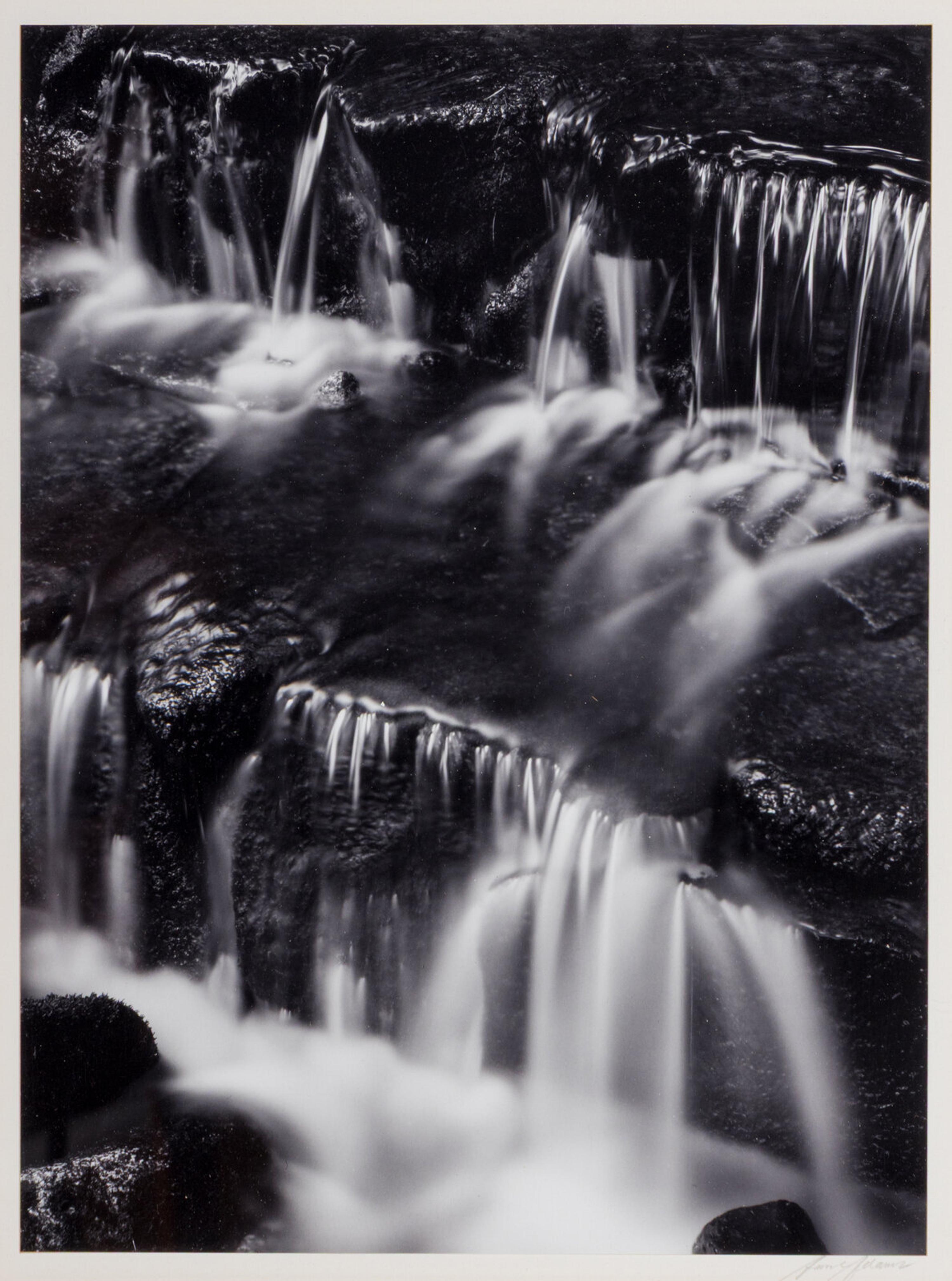 Fern Spring, Dusk Yosemite Valley, California, ca. 1961; printed later