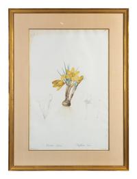 Six Colored Botanical Engravings