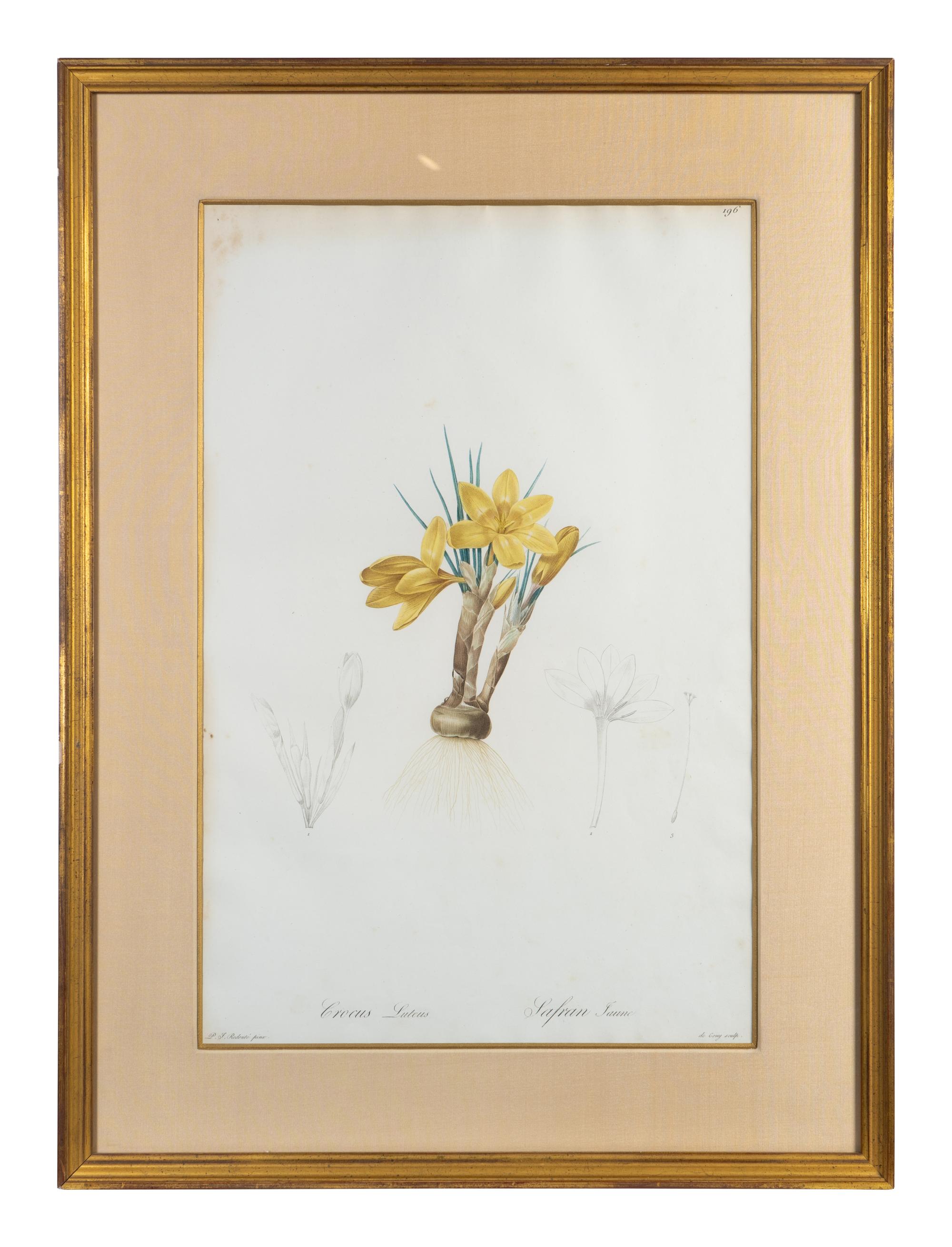 Six Colored Botanical Engravings