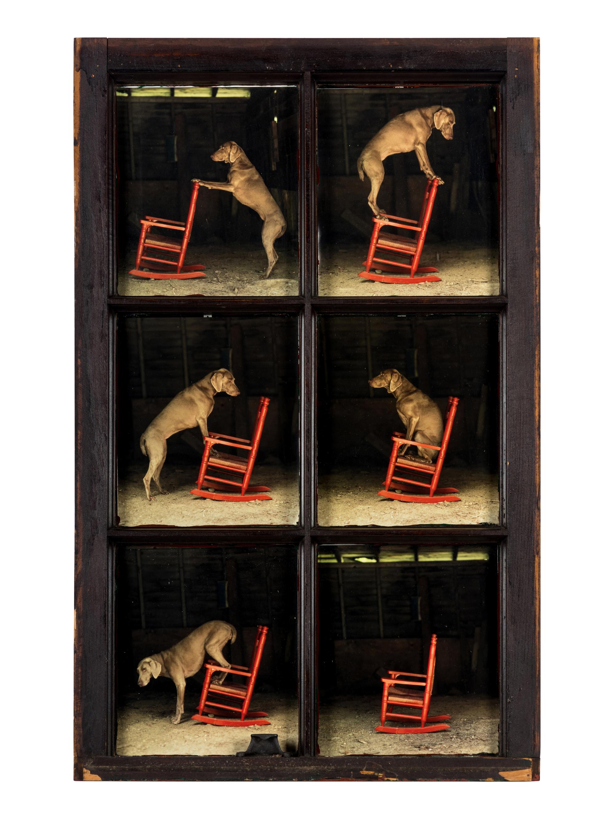 William Wegman (born 1946) Red Rocker, 2010