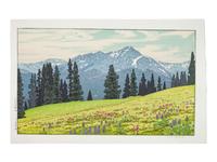 Mt. Holly Cross, Vail Colorado