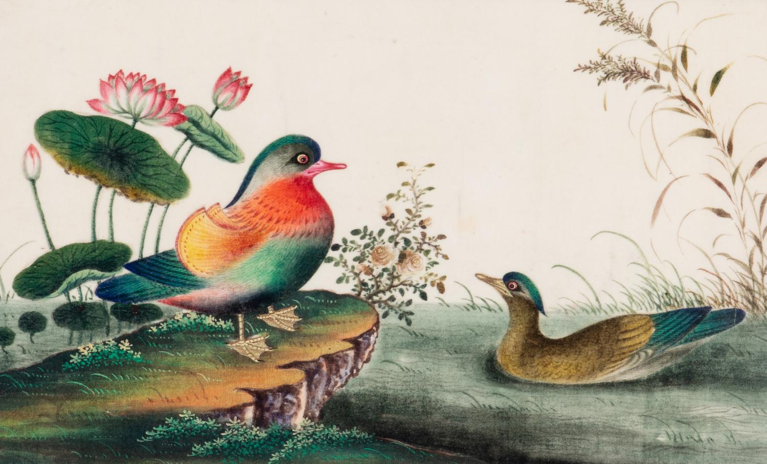 A Set of Twelve Chinese Export Watercolor and Pith Paintings of Exotic Birds