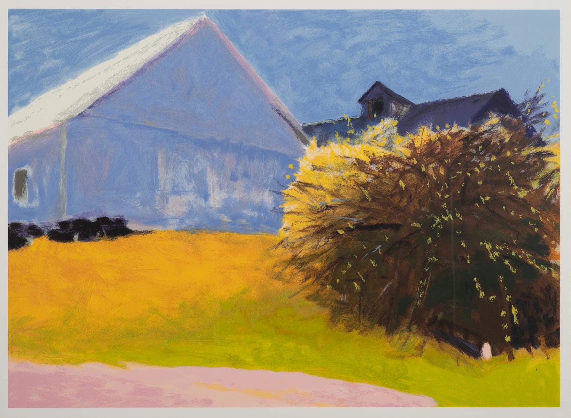 Barn and Forsythia III